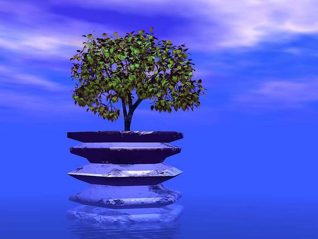 Arbol MLC i fascies Arbol MLC i fascies