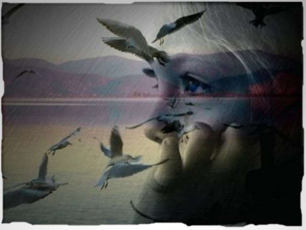 taller de suenos2 taller de suenos2